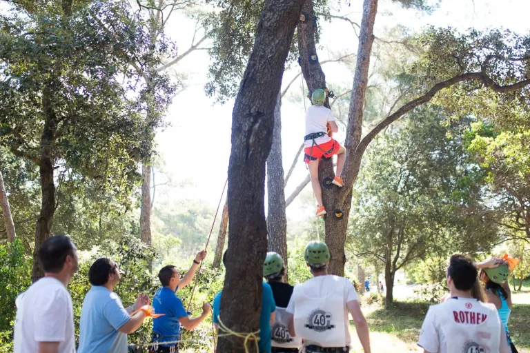 Team building accrobranche en forêt, agence événementielle Moon